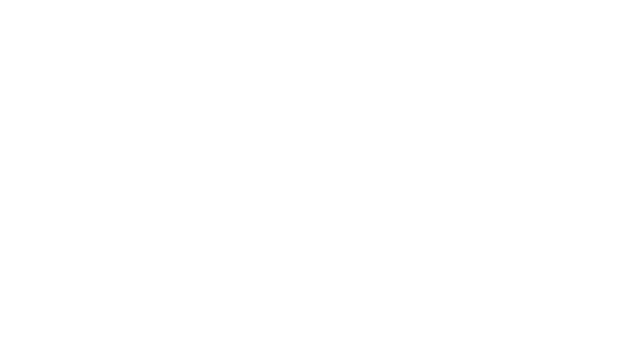 Pluuto Logo